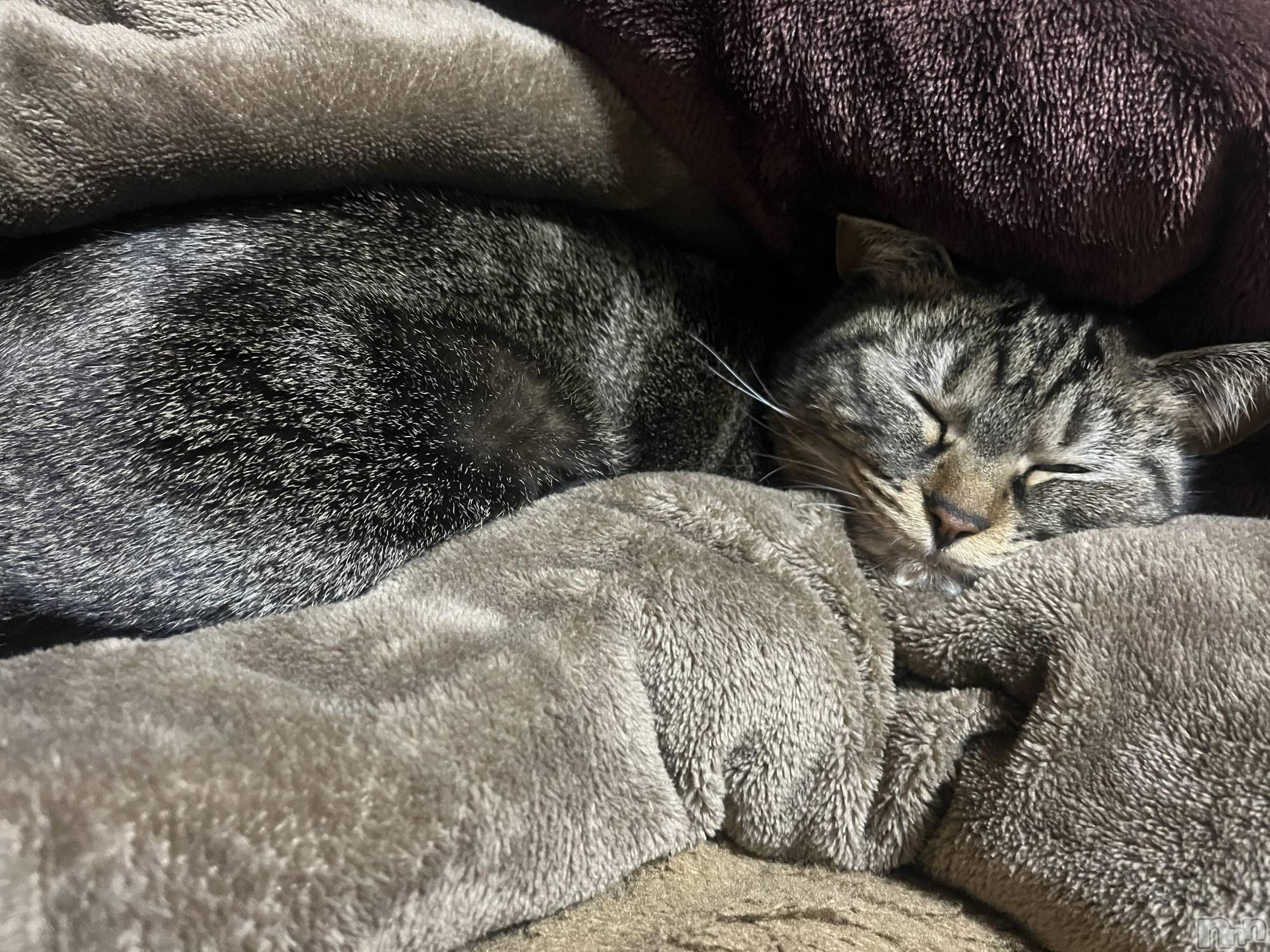 ��ˬ����Х��顦����֥���� �ץ���� ��ˬ(����� �ץ���� ����) ��2024ǯ4��27���̥�֥�����🥺��