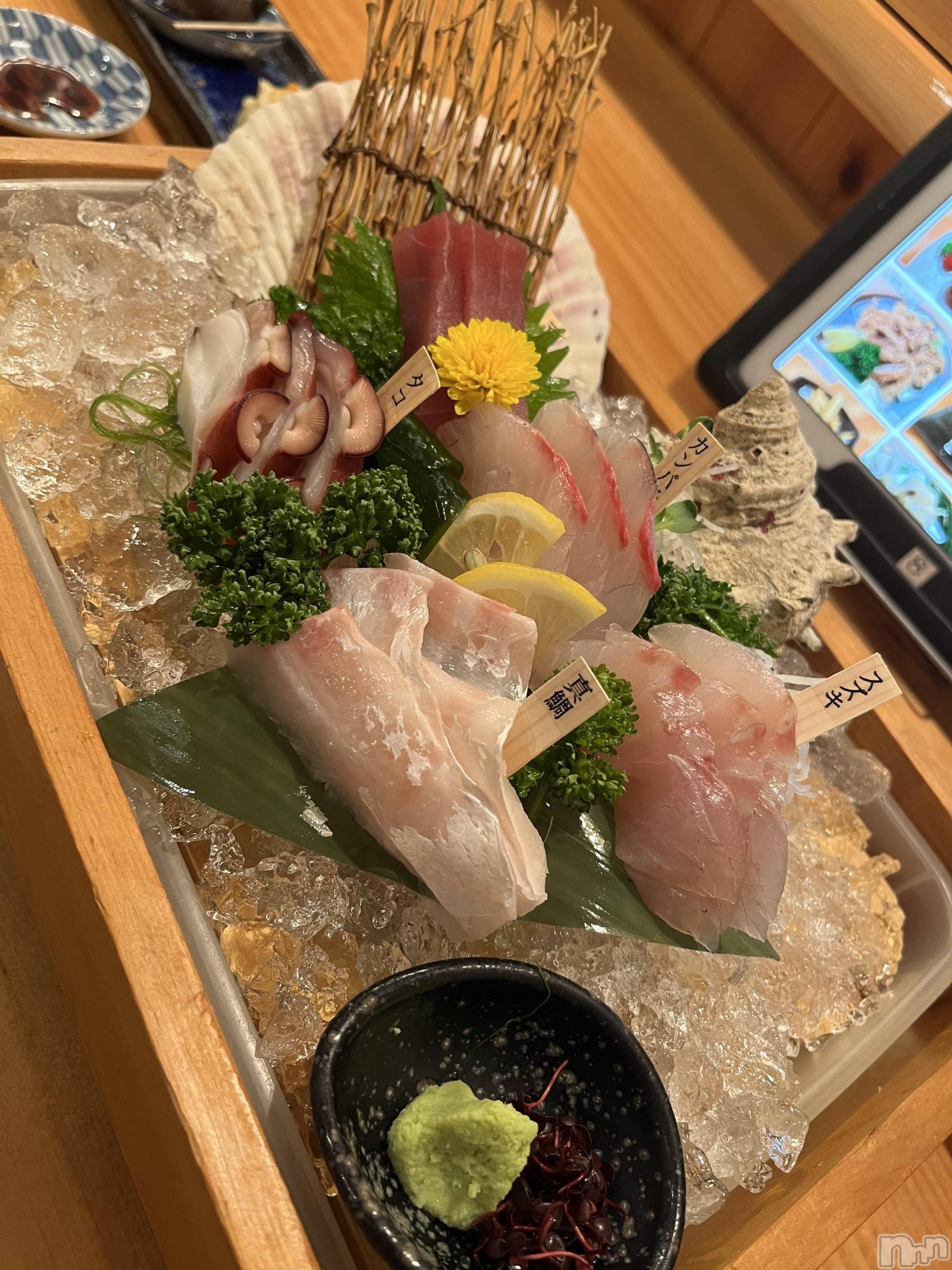 ��ˬ����Х��顦����֥���� �ץ���� ��ˬ(����� �ץ���� ����) ��2024ǯ5��17���̥�֥����ֶ�������