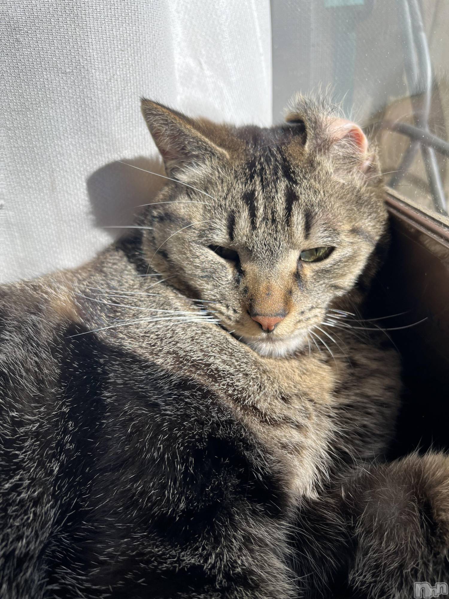 ��ˬ����Х��顦����֥���� �ץ���� ��ˬ(����� �ץ���� ����) ��2024ǯ6��7���̥�֥�����🍻��