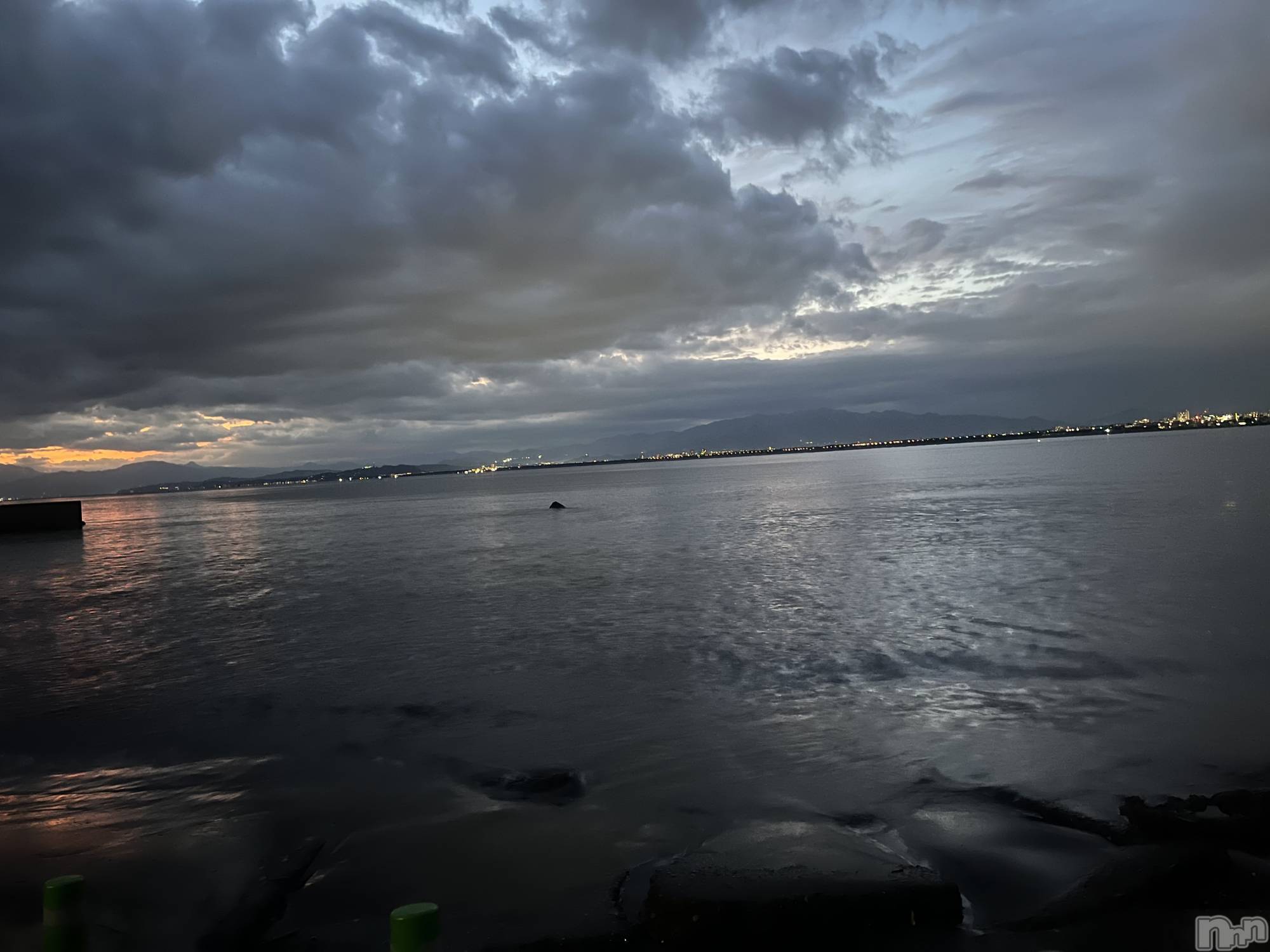 ��ˬ����Х��顦����֥���� �ץ���� ��ˬ(����� �ץ���� ����) ��2024ǯ7��3���̥�֥�����🐋🫧��