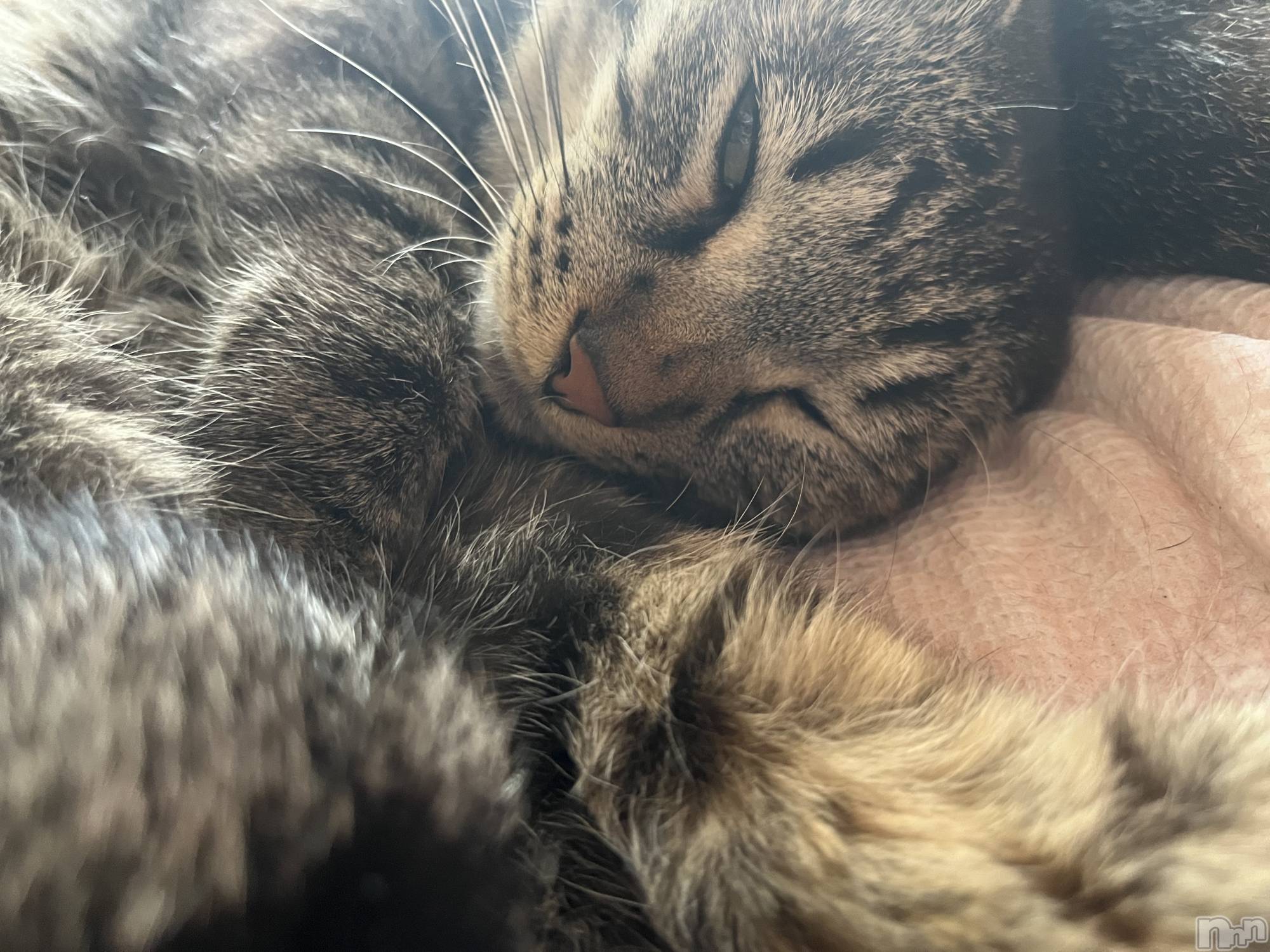 ��ˬ����Х��顦����֥���� �ץ���� ��ˬ(����� �ץ���� ����) ��2024ǯ7��12���̥�֥����ֶ�������