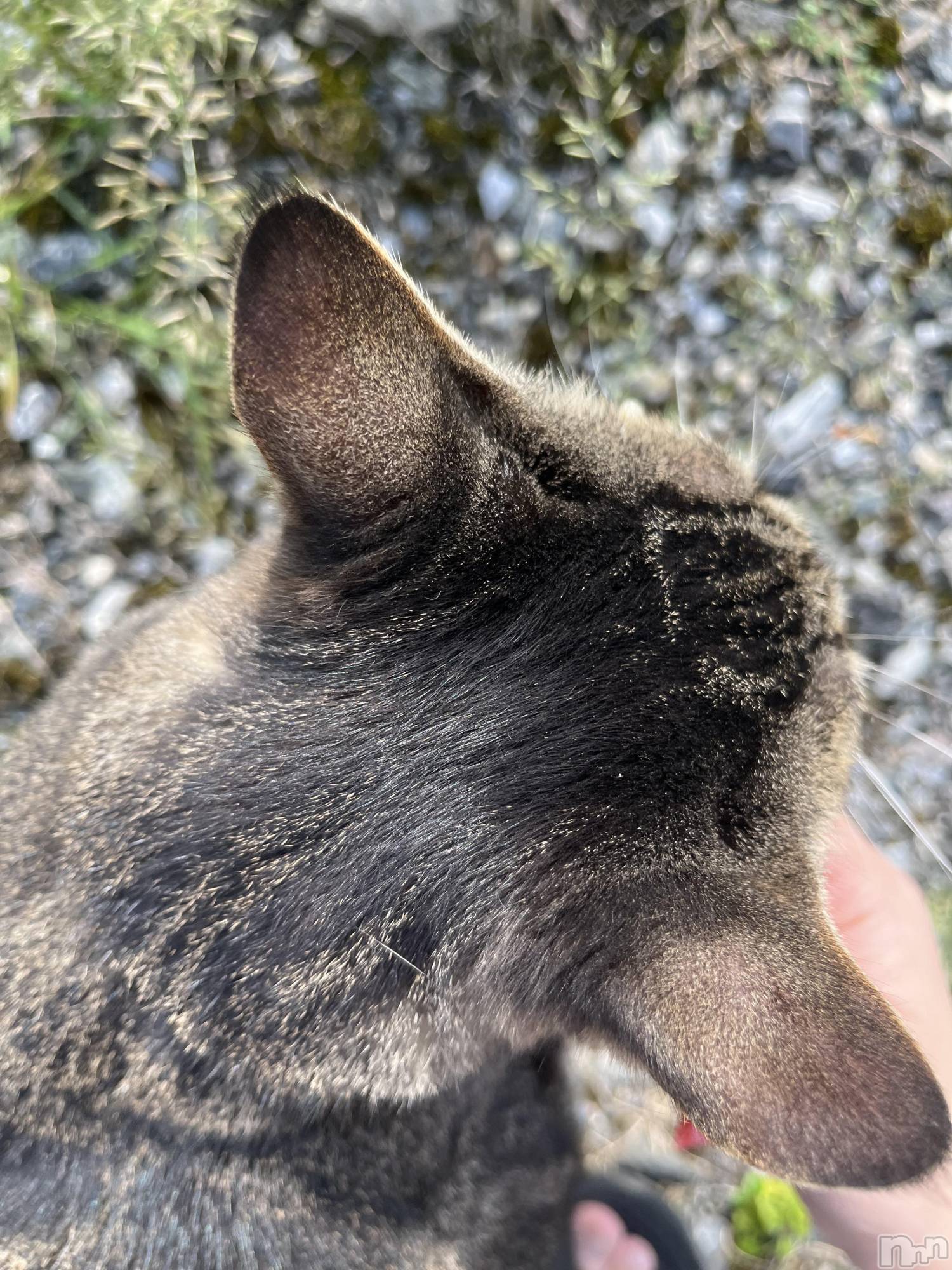 ��ˬ����Х��顦����֥���� �ץ���� ��ˬ(����� �ץ���� ����) ��2024ǯ9��11���̥�֥����֤ˤ���