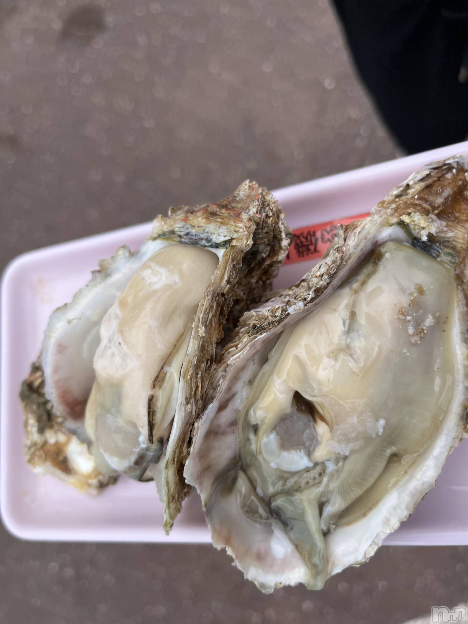 ��ˬ����Х��顦����֥���� �ץ���� ��ˬ(����� �ץ���� ����) ��2024ǯ10��7���̥�֥�����🦪( '-' 🦪 )��