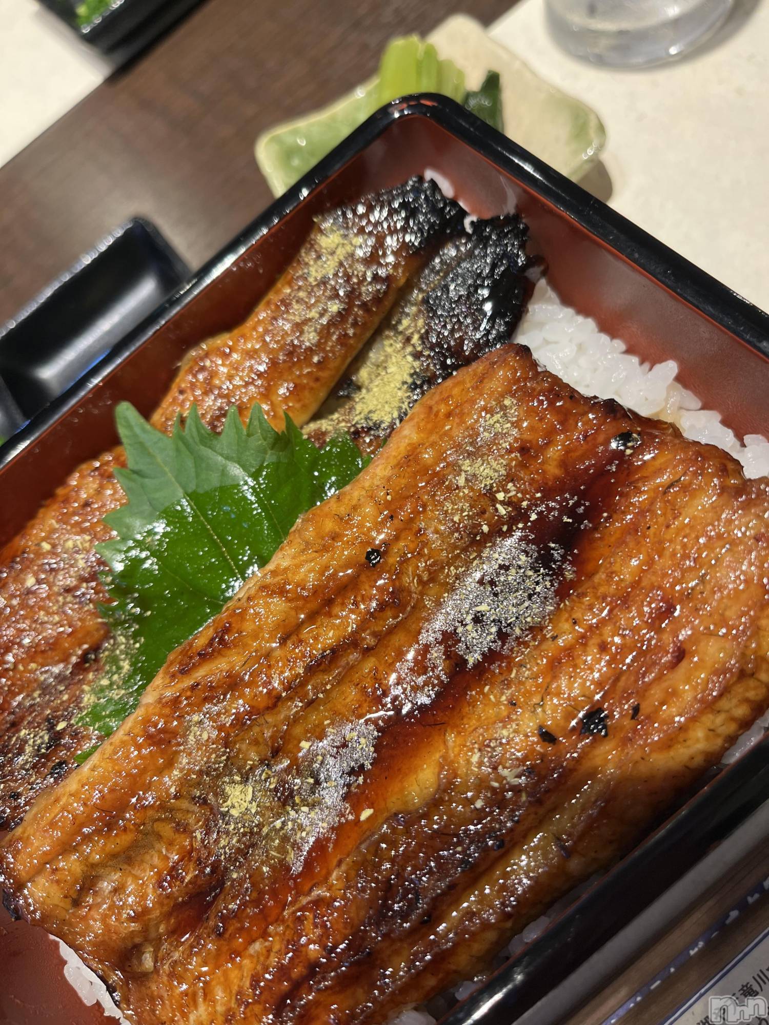 ��ˬ����Х��顦����֥���� �ץ���� ��ˬ(����� �ץ���� ����) ��2024ǯ10��19���̥�֥�����10��19�� 16��48ʬ�Υ֥�����