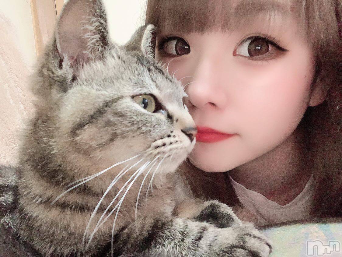 ��ˬ����Х��顦����֥���� �ץ���� ��ˬ(����� �ץ���� ����) ��2024ǯ11��20���̥�֥����֤ˤ���