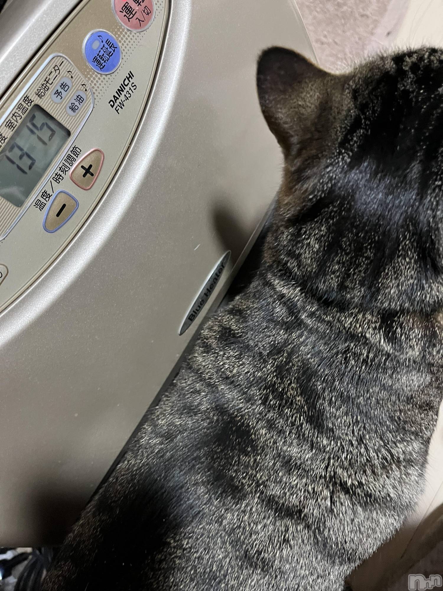 ��ˬ����Х��顦����֥���� �ץ���� ��ˬ(����� �ץ���� ����) ��2024ǯ12��12���̥�֥�����12��12�� 20��39ʬ�Υ֥�����