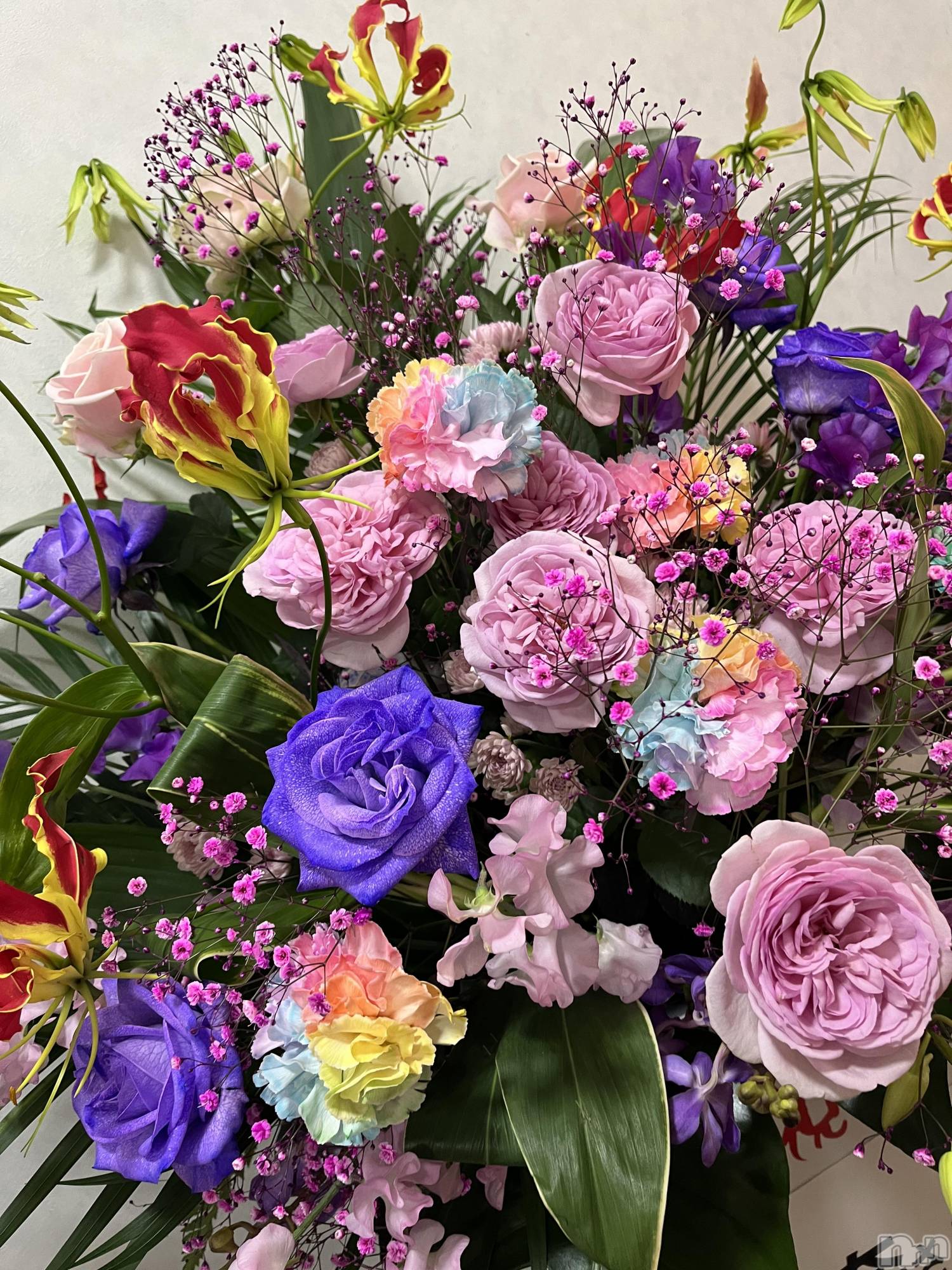 ��ˬ����Х��顦����֥���� �ץ���� ��ˬ(����� �ץ���� ����) ��2025ǯ2��1���̥�֥�����🩵��