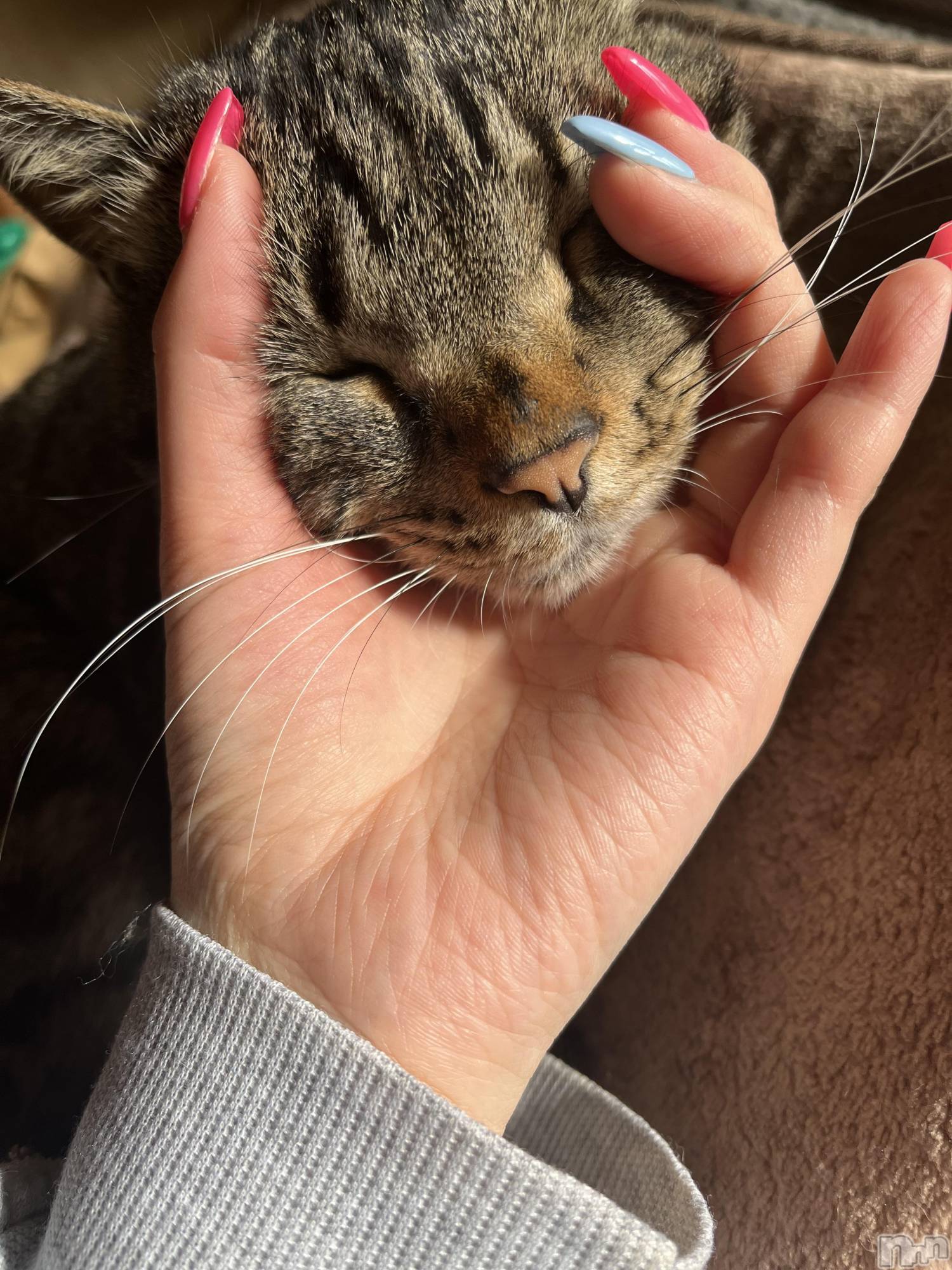 ��ˬ����Х��顦����֥���� �ץ���� ��ˬ(����� �ץ���� ����) ��2025ǯ4��12���̥�֥�����4��12�� 20��45ʬ�Υ֥�����