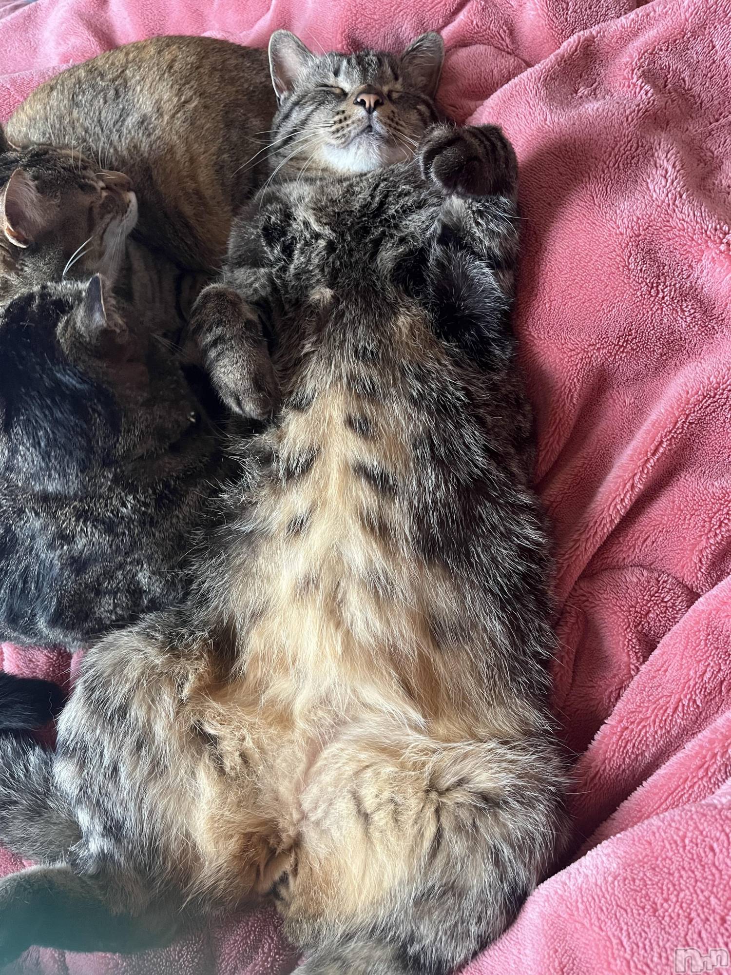 ��ˬ����Х��顦����֥���� �ץ���� ��ˬ(����� �ץ���� ����) ��2025ǯ5��17���̥�֥�����5��17�� 23��30ʬ�Υ֥�����