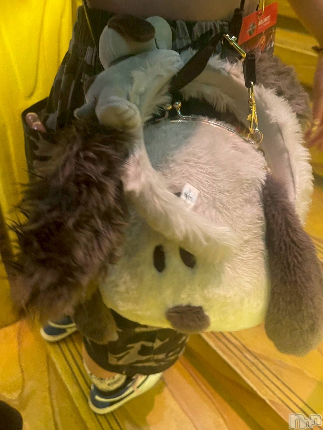 ��ˬ����Х��顦����֥���� �ץ���� ��ˬ(����� �ץ���� ����) ��2025ǯ9��6���̥�֥�����🐾🐶🍪��