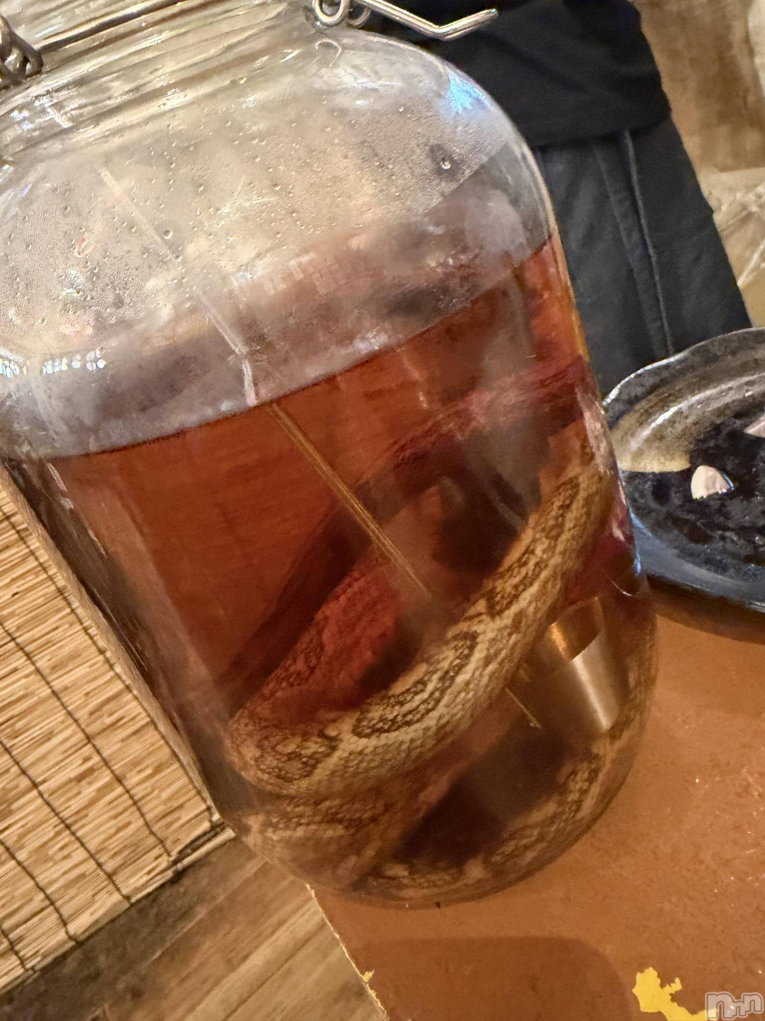 ��ˬ����Х��顦����֥���� �ץ���� ��ˬ(����� �ץ���� ����) ��2025ǯ11��19���̥�֥�����🐍��