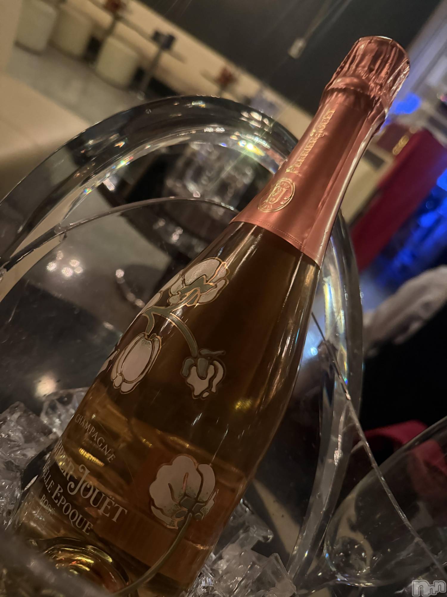 ��ˬ����Х��顦����֥���� �ץ���� ��ˬ(����� �ץ���� ����) ��2026ǯ2��28���̥�֥�����🌼��