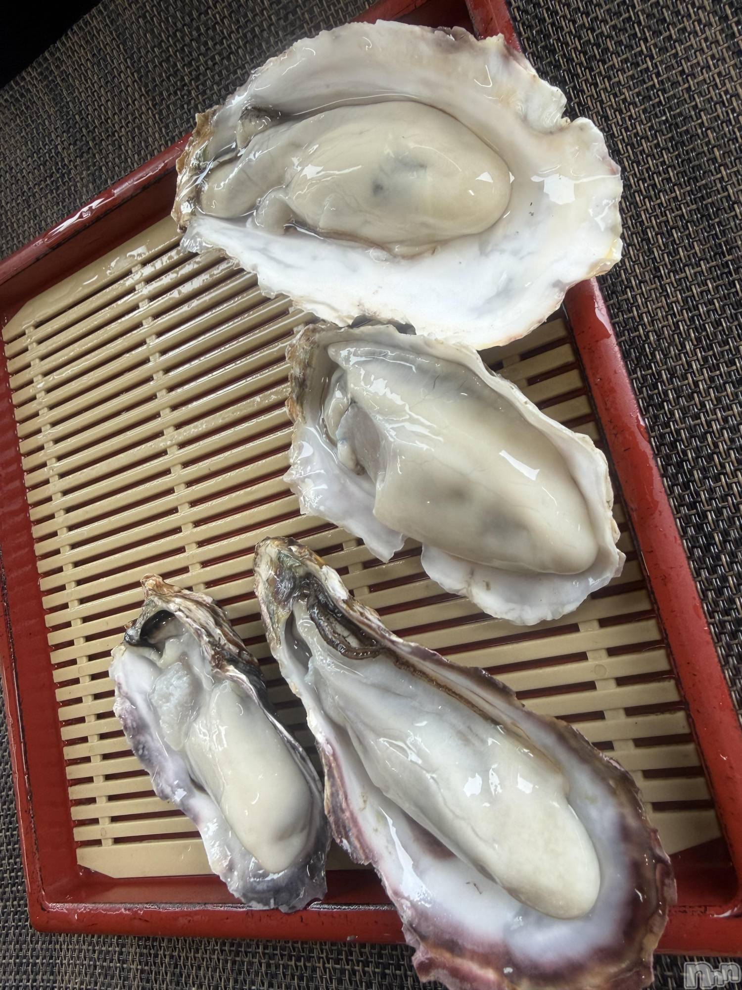 ��ˬ����Х��顦����֥���� �ץ���� ��ˬ(����� �ץ���� ����) ��2026ǯ4��9���̥�֥�����🥹🥹🥹🥹��