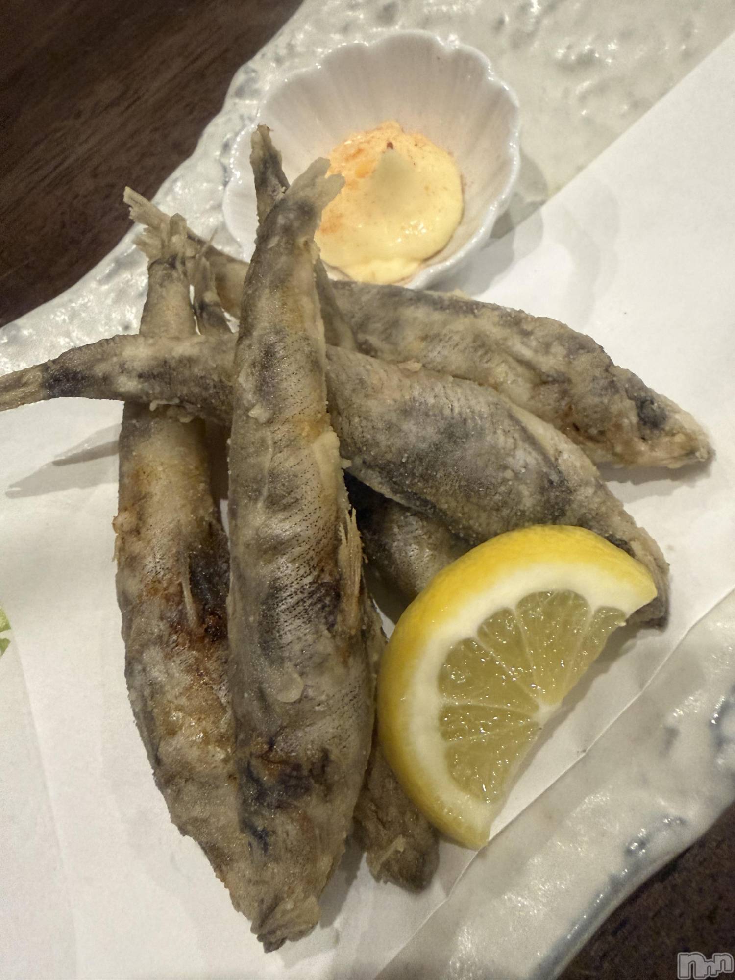 ��ˬ����Х��顦����֥���� �ץ���� ��ˬ(����� �ץ���� ����) ��2026ǯ4��14���̥�֥�����🐠��