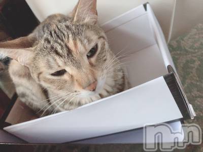 ��ˬ����Х��顦����֥���� �ץ���� ��ˬ(����� �ץ���� ����) ɱǵ ����(25)��6��11���̥�֥�����6��11�� 19��16ʬ�Υ֥�����