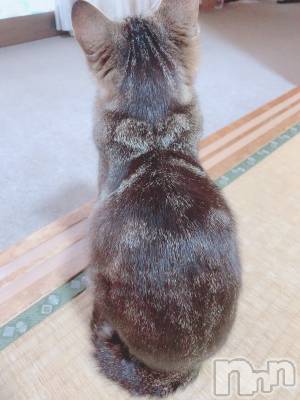 ��ˬ����Х��顦����֥���� �ץ���� ��ˬ(����� �ץ���� ����) ɱǵ ����(25)��6��29���̥�֥�����♡♡♡��