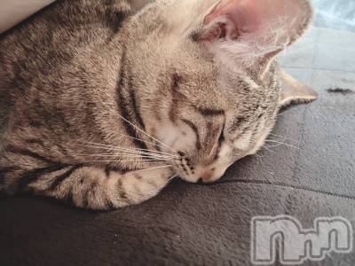 ��ˬ����Х��顦����֥���� �ץ���� ��ˬ(����� �ץ���� ����) ɱǵ ����(25)��8��6���̥�֥����ֽжС�