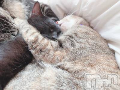 ��ˬ����Х��顦����֥���� �ץ���� ��ˬ(����� �ץ���� ����) ɱǵ ����(25)��9��12���̥�֥����ֽжС�