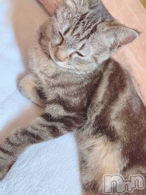 ��ˬ����Х��顦����֥���� �ץ���� ��ˬ(����� �ץ���� ����) ɱǵ ����(25)��9��19���̥�֥����ֽжФǤ�����