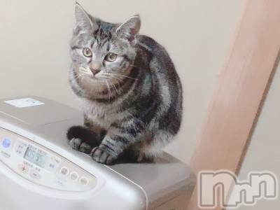 ��ˬ����Х��顦����֥���� �ץ���� ��ˬ(����� �ץ���� ����) ɱǵ ����(25)��9��28���̥�֥�����9��28�� 22��15ʬ�Υ֥�����