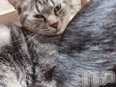 ��ˬ����Х��顦����֥���� �ץ���� ��ˬ(����� �ץ���� ����) ɱǵ ����(25)��10��23���̥�֥����֥ϥ�������🎃��