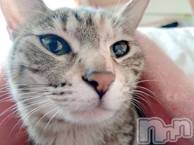 ��ˬ����Х��顦����֥���� �ץ���� ��ˬ(����� �ץ���� ����) ɱǵ ����(25)��12��21���̥�֥����ֽжС�