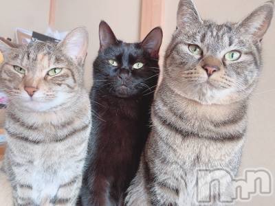 ��ˬ����Х��顦����֥���� �ץ���� ��ˬ(����� �ץ���� ����) ɱǵ ����(25)��1��21���̥�֥����ֽжС�