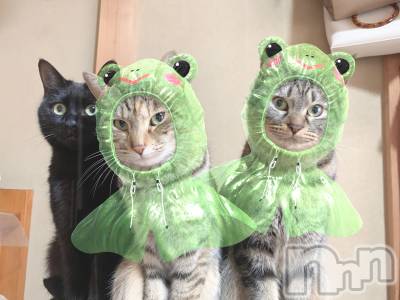 ��ˬ����Х��顦����֥���� �ץ���� ��ˬ(����� �ץ���� ����) ɱǵ ����(25)��1��29���̥�֥����֥����ץ�1���ܡ�