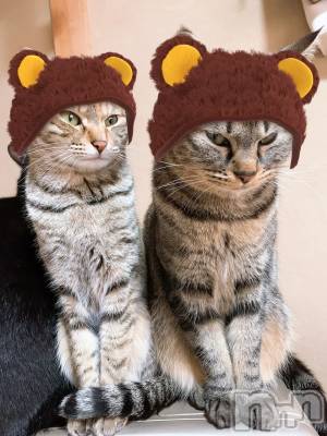 ��ˬ����Х��顦����֥���� �ץ���� ��ˬ(����� �ץ���� ����) ɱǵ ����(25)��2��18���̥�֥����֤Ԥ���