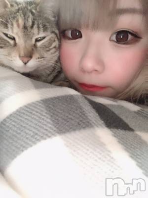 ��ˬ����Х��顦����֥���� �ץ���� ��ˬ(����� �ץ���� ����) ɱǵ ����(25)��2��24���̥�֥�����ฅ•��•ฅ😸��