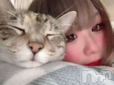 ��ˬ����Х��顦����֥���� �ץ���� ��ˬ(����� �ץ���� ����) ɱǵ ����(25)��2��26���̥�֥����ֽжС�