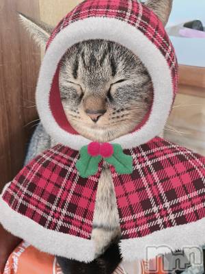 ��ˬ����Х��顦����֥���� �ץ���� ��ˬ(����� �ץ���� ����) ɱǵ ����(25)��2��27���̥�֥����ֽжС�