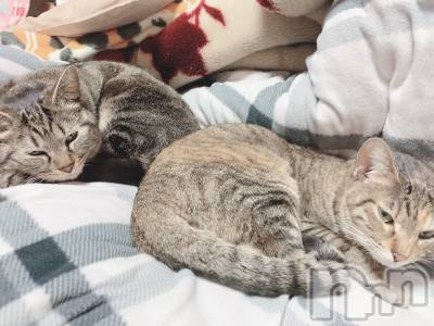 ��ˬ����Х��顦����֥���� �ץ���� ��ˬ(����� �ץ���� ����) ɱǵ ����(25)��3��1���̥�֥�����ᜊﬞﬞ ᶻᶻᶻ﻿��