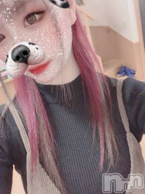 ��ˬ����Х��顦����֥���� �ץ���� ��ˬ(����� �ץ���� ����) ɱǵ ����(25)��4��5���̥�֥�����🌸🍃��