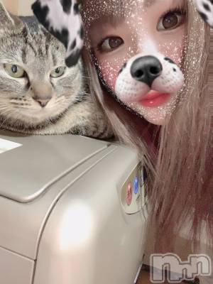 ��ˬ����Х��顦����֥���� �ץ���� ��ˬ(����� �ץ���� ����) ɱǵ ����(25)��4��12���̥�֥����֤ˤ�ˤ��Ѥ���