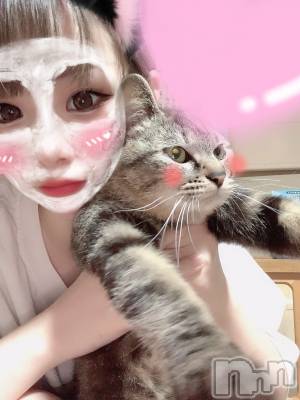 ��ˬ����Х��顦����֥���� �ץ���� ��ˬ(����� �ץ���� ����) ɱǵ ����(25)��6��15���̥�֥����֤ˤ��🐈��