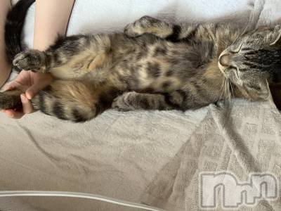 ��ˬ����Х��顦����֥���� �ץ���� ��ˬ(����� �ץ���� ����) ɱǵ ����(25)��7��1���̥�֥�����☺️��