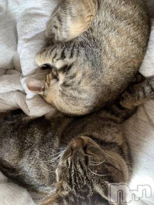 ��ˬ����Х��顦����֥���� �ץ���� ��ˬ(����� �ץ���� ����) ɱǵ ����(25)��9��11���̥�֥�����ฅ•��•ฅ😸��