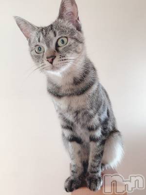 ��ˬ����Х��顦����֥���� �ץ���� ��ˬ(����� �ץ���� ����) ɱǵ ����(25)��9��17���̥�֥�����9��17�� 21��14ʬ�Υ֥�����