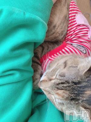 ��ˬ����Х��顦����֥���� �ץ���� ��ˬ(����� �ץ���� ����) ɱǵ ����(25)��9��18���̥�֥����ֽж�👻��