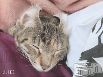 ��ˬ����Х��顦����֥���� �ץ���� ��ˬ(����� �ץ���� ����) ɱǵ ����(25)��9��23���̥�֥����ֽжС�