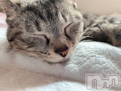 ��ˬ����Х��顦����֥���� �ץ���� ��ˬ(����� �ץ���� ����) ɱǵ ����(25)��9��28���̥�֥�����9��28�� 20��38ʬ�Υ֥�����