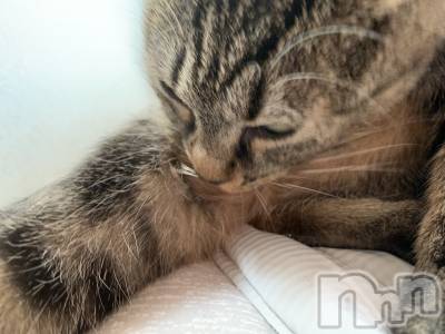 ��ˬ����Х��顦����֥���� �ץ���� ��ˬ(����� �ץ���� ����) ɱǵ ����(25)��10��4���̥�֥�����ฅ•��•ฅ😸��