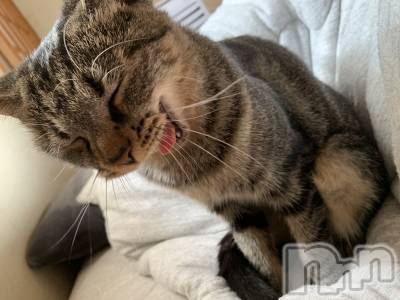 ��ˬ����Х��顦����֥���� �ץ���� ��ˬ(����� �ץ���� ����) ɱǵ ����(25)��10��5���̥�֥�����😺��