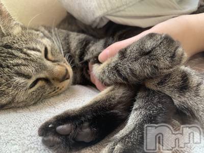 ��ˬ����Х��顦����֥���� �ץ���� ��ˬ(����� �ץ���� ����) ɱǵ ����(25)��10��20���̥�֥�����🤍��