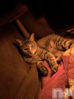 ��ˬ����Х��顦����֥���� �ץ���� ��ˬ(����� �ץ���� ����) ɱǵ ����(25)��11��26���̥�֥�����11��26�� 21��17ʬ�Υ֥�����