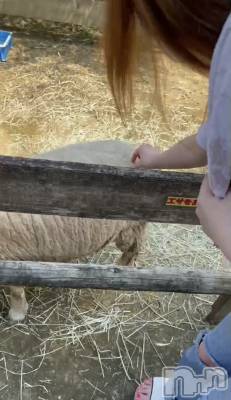 ��ˬ����Х��顦����֥���� �ץ���� ��ˬ(����� �ץ���� ����) ɱǵ ����(25)��11��27���̥�֥�����🐑��