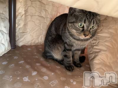 ��ˬ����Х��顦����֥���� �ץ���� ��ˬ(����� �ץ���� ����) ɱǵ ����(25)��11��30���̥�֥�����🥺��