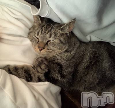 ��ˬ����Х��顦����֥���� �ץ���� ��ˬ(����� �ץ���� ����) ɱǵ ����(25)��12��3���̥�֥�����♔��