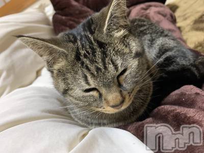 ��ˬ����Х��顦����֥���� �ץ���� ��ˬ(����� �ץ���� ����) ɱǵ ����(25)��12��18���̥�֥�����😽��